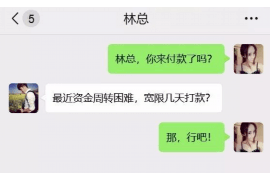 蒲江为什么选择专业追讨公司来处理您的债务纠纷？